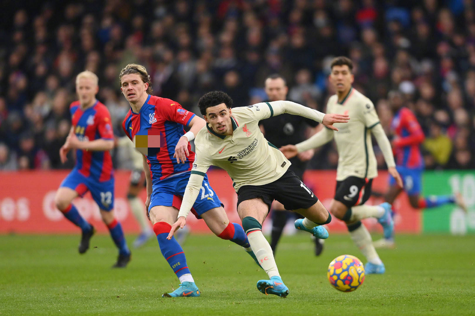 歌不应掩盖 歌不应掩盖